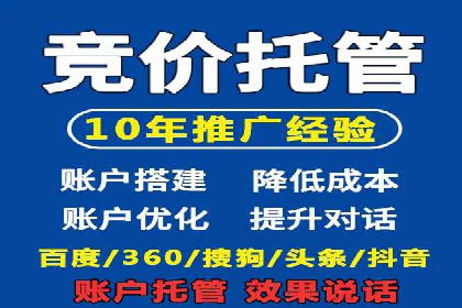 SEM公司案例分享：优化效果与转化率提升策略